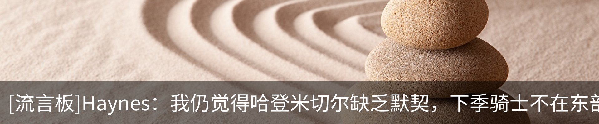 最新动态